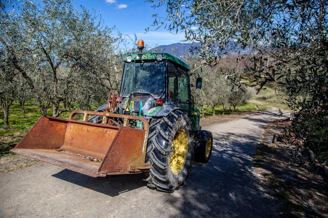Locanda Agricola Posapiano Монтекарло Екстер'єр фото