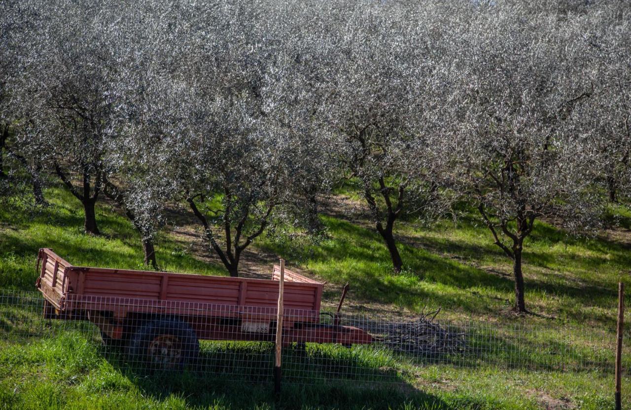 Locanda Agricola Posapiano Монтекарло Екстер'єр фото
